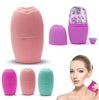 MASAJEADOR FACIAL ICE POLLER